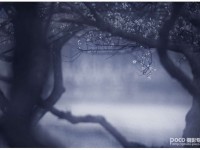 教你如何拍出中国风的意境