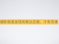 为何摄影新手都拍得那么平淡?