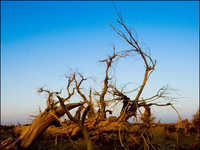 把握时间和光线变化