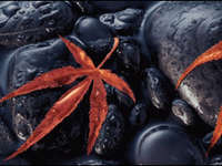 静物摄影核心技法三例