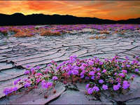 风光摄影技巧之构图：风景永远不会动