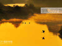 秋季教你拍摄倒影照片