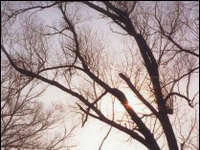 冰天雪地 雪景摄影技巧大全