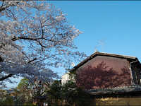 花卉摄影必备摄影器材