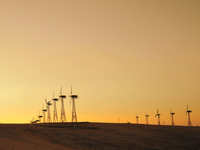 了解构图的效果拍出好照片