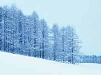 冰雪摄影技巧大盘点