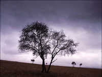 齐凤臣风光摄影创作经验谈