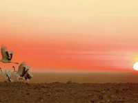 风光摄影实战拍摄技法之二