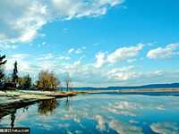 偏振镜的类型及工作原理