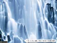 初学者如何快速提高摄影水平