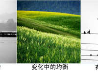 摄影中如何达到照片整体的均衡