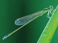 摄影创作的构图理念