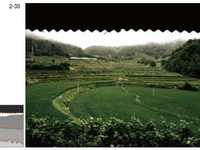 国外摄影师的摄影构图实例讲解