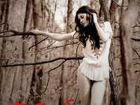 焦点模糊虚像的拍摄技巧