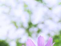 如何选择焦点的秘决