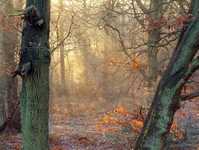 风光摄影大师的创作思路