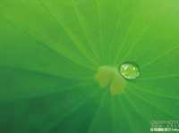 10步让你学会极简摄影