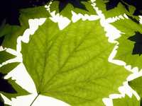 6个利用阳光拍摄的技巧