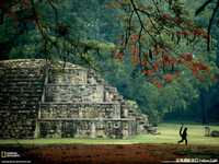 图解瞬间与构图的方法