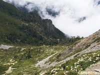 花卉摄影实用摄影技巧