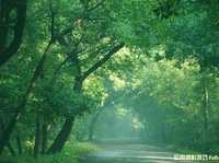 如何避免自己成为一个糟糕的摄影师