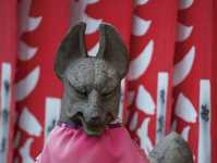 教你如何精准掌握曝光拍出完美的照片