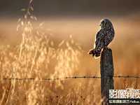 利用逆光如何拍摄细节丰富的照片