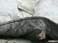 专业新闻摄影师与你分享7个实战绝招