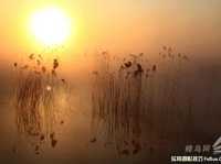 如何拍出“梦中仙境” 雾气拍摄技巧全攻略