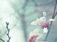 教您拍出内涵照片