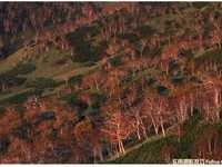 教你如何拍出迷人风光作品