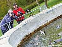 轻松几招 教你拍摄出精美的动物照片