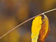 捕捉秋色，用三招拍出秋天的味道