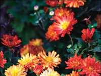 新手必读如何掌握曝光的程度