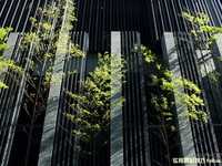 如何用狗头拍摄小品题材作品