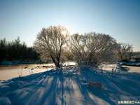 4招展现冬天的纯白无瑕之感