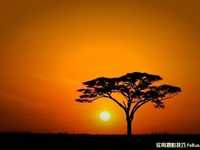 实用摄影技巧拍出完美落日