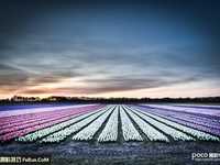 如何让你的摄影作品更具层次感