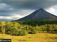 哪些情况要慎用大光圈来打造浅景深