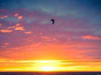 到两极拍摄你需要哪些的装备