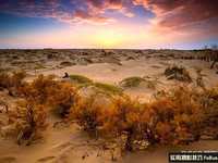 风光摄影中滤镜使用心得分享