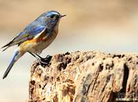 摄影实战中典型的光圈运用与技巧