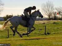 摄影常识基础：快门优先的运用与技巧