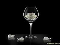 实用静物布光技巧全攻略