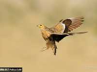 浅谈快门速度轻松捕捉移动的目标