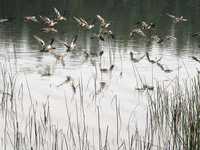 使用线条营造影像空间感