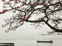 摄影新手必学 一分钟拍出好构图