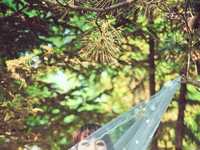 简单18招拍清新人像