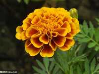 教你掌握不同天气状况的拍摄要领