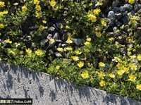 如何利用环境光线拍好生活小品